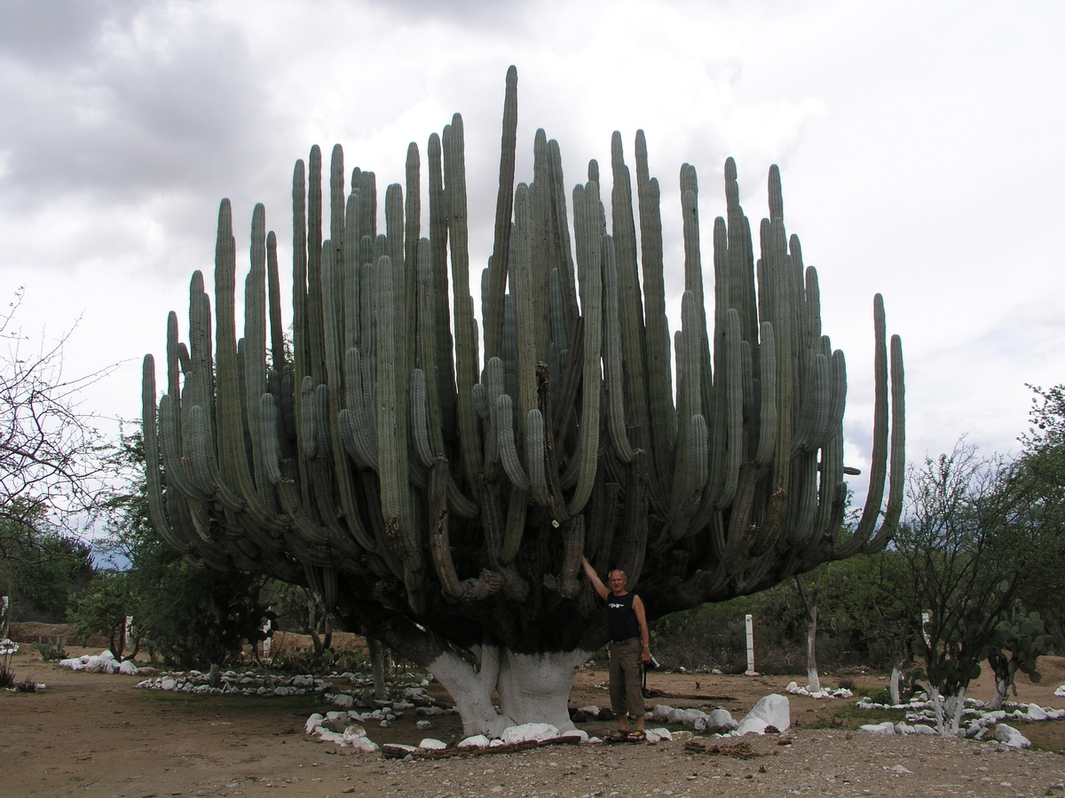 2005 Mexiko (27).JPG